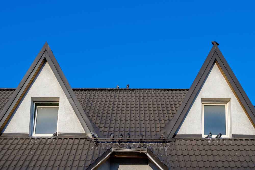 metal roofing company