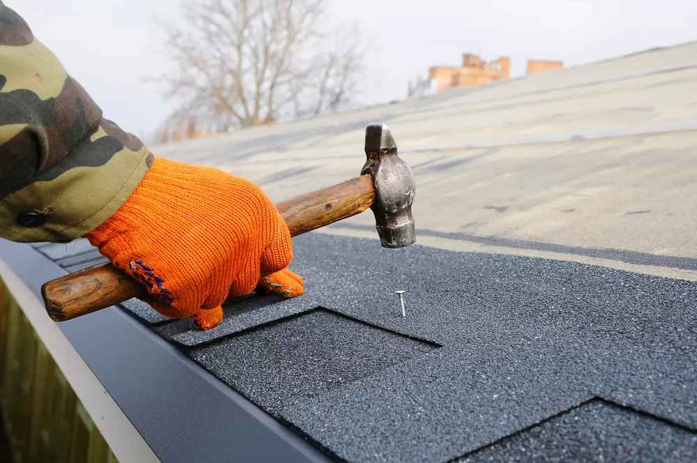 Trusted Roof Repair
