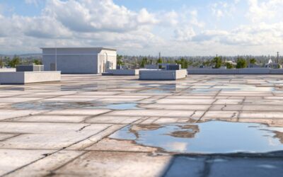 5 Signs Your Commercial Roof Needs Repair Before It’s Too Late